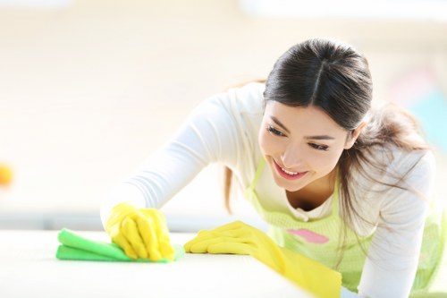 Mattress cleaning in Dulwich with professional deep cleaning equipment