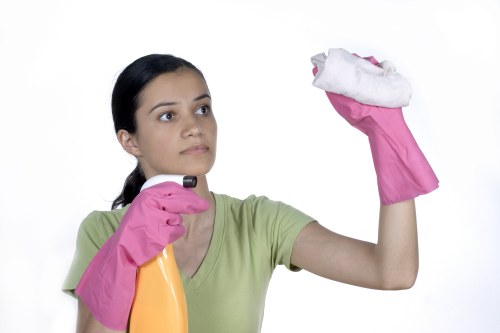 Staff member reviewing carpet cleaning health and safety procedures