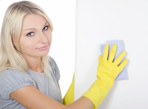 Cleaning products and tools used for pet odour removal in Dulwich