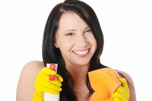 Professional carpet care process highlighting quality and attention to detail