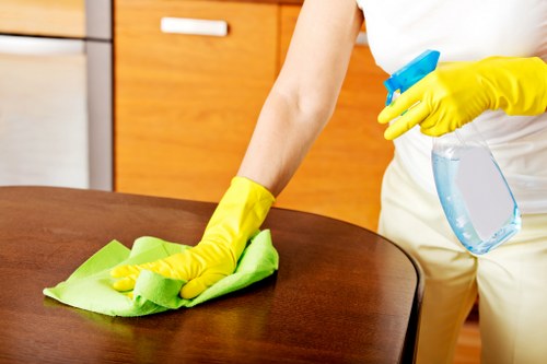 Inspection of carpet cleaning complaint and service notes